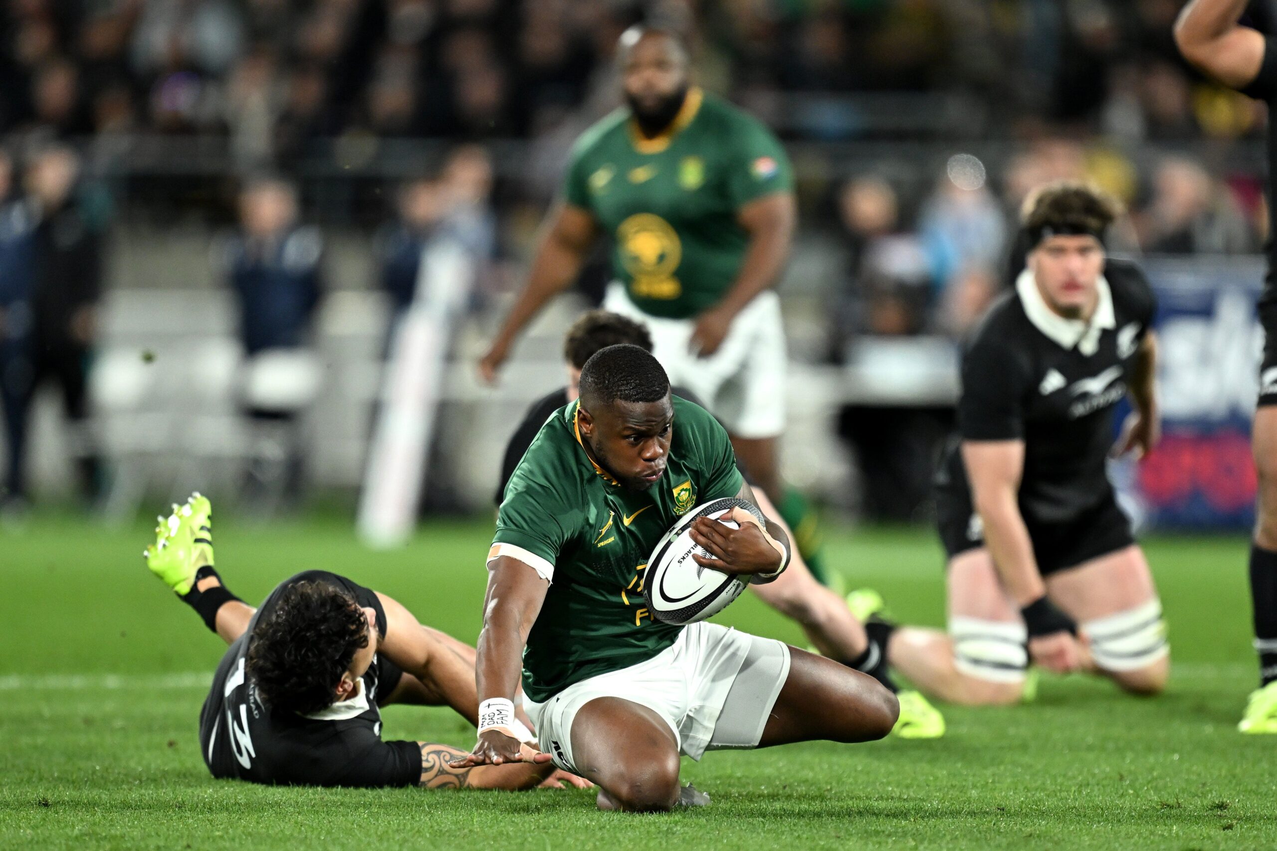 new zealand vs south africa